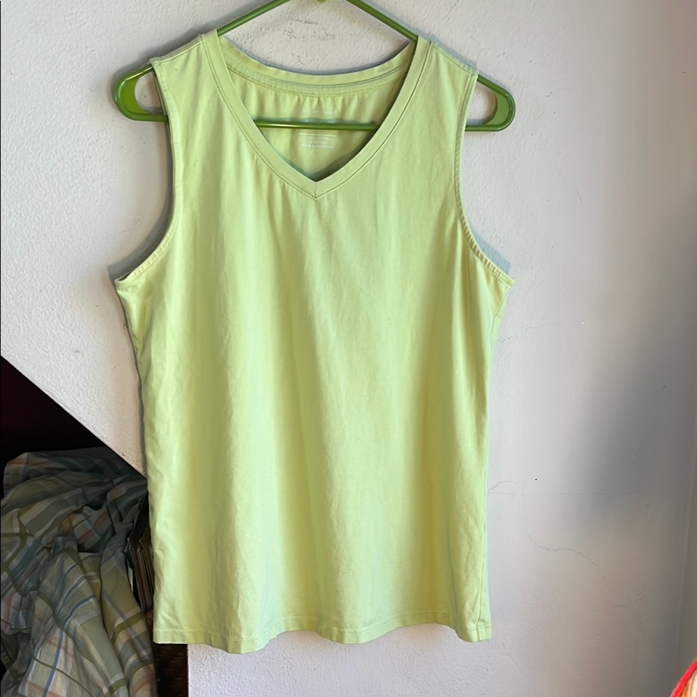 Women's Sleeveless Pistachio Green V Neck Top